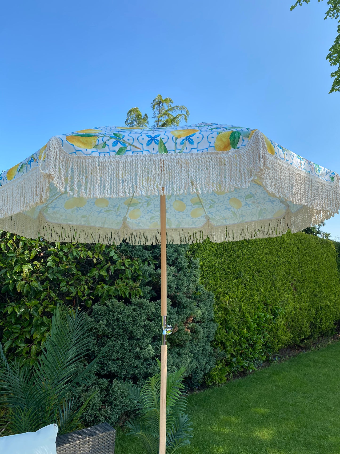 lemon and blue print parasol umbrella image garden