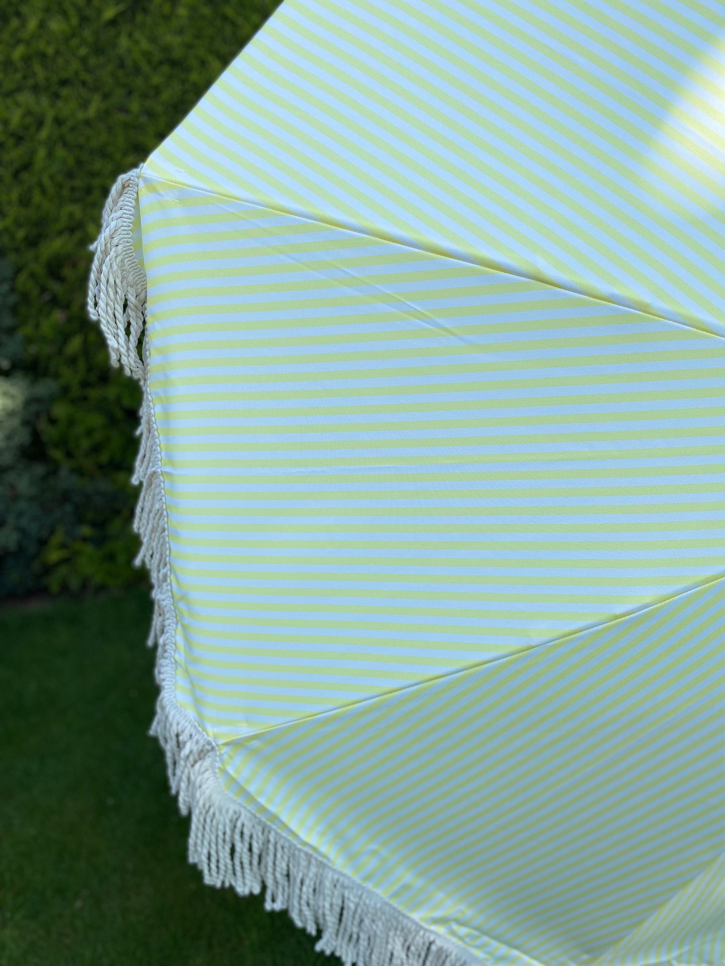 close up image of lemon and yellow print of parasol