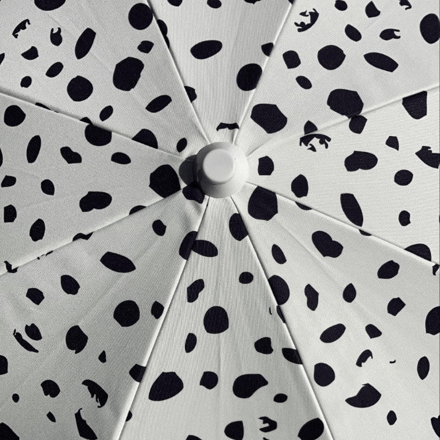 Close Up Dalmation Print Sun Parasol Umbrella